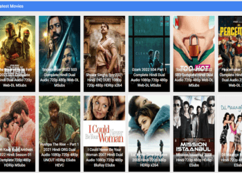 How to Download Movies From DownloadHub