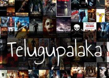 Telugu Palaka Apk Review – Is Telugu Palaka Safe?