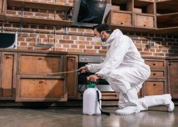 Top 5 Benefits of Hiring Professional Pest Control Companies