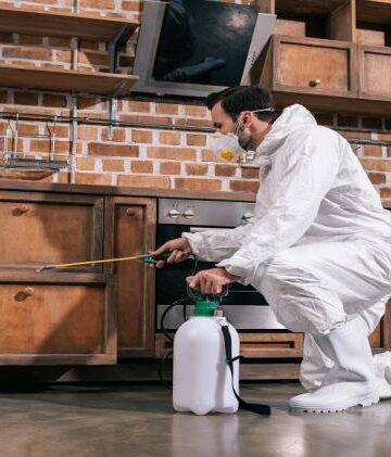 Top 5 Benefits of Hiring Professional Pest Control Companies
