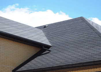 What’s Making Your Asphalt Shingle Roof Dirty?